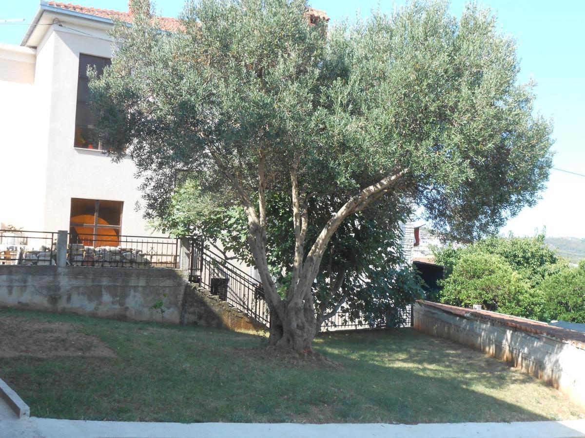 Apartments With A Parking Space Okrug Gornji, Ciovo - 13859 Trogir Buitenkant foto